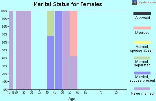 Zip code 23407 marital status for females