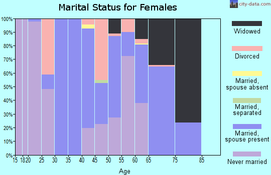 Zip code 23410 marital status for females
