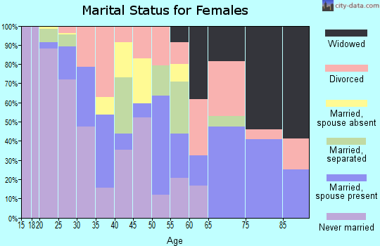 Zip code 23510 marital status for females