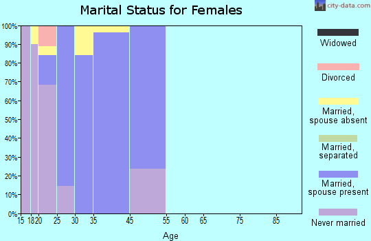 Zip code 23521 marital status for females