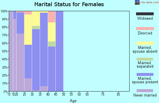 Zip code 23604 marital status for females