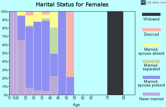 Zip code 23801 marital status for females