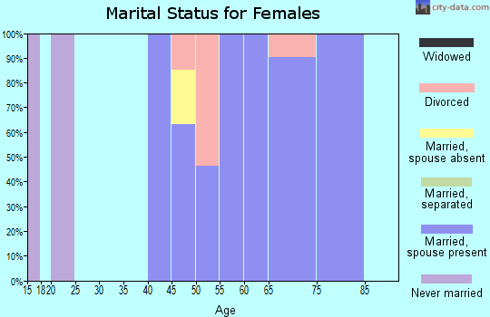 Zip code 23846 marital status for females
