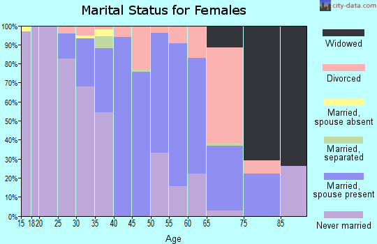 Zip code 23867 marital status for females