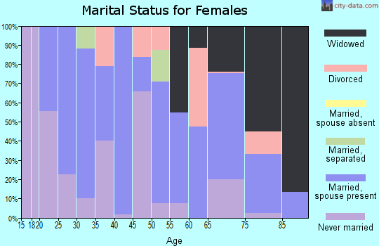 Zip code 23882 marital status for females