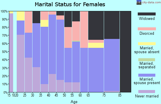 Zip code 23920 marital status for females