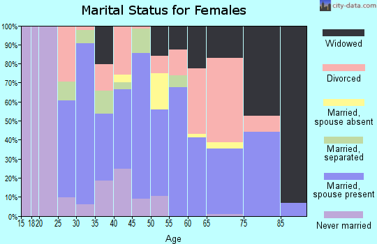 Zip code 23947 marital status for females