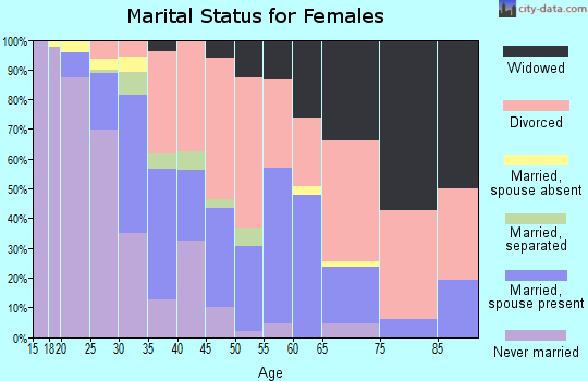 Zip code 24013 marital status for females