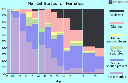 Zip code 24017 marital status for females