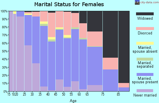 Zip code 24019 marital status for females