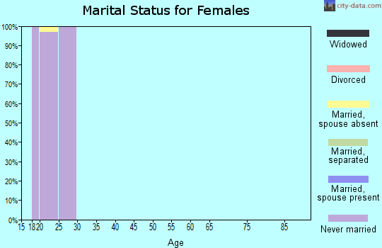 Zip code 24020 marital status for females