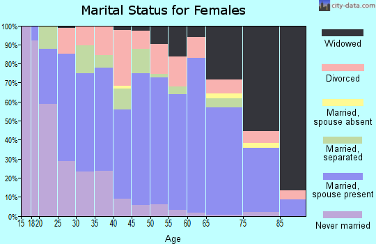 Zip code 24055 marital status for females