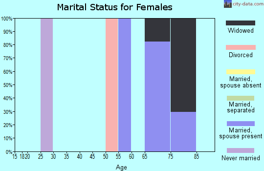 Zip code 24058 marital status for females