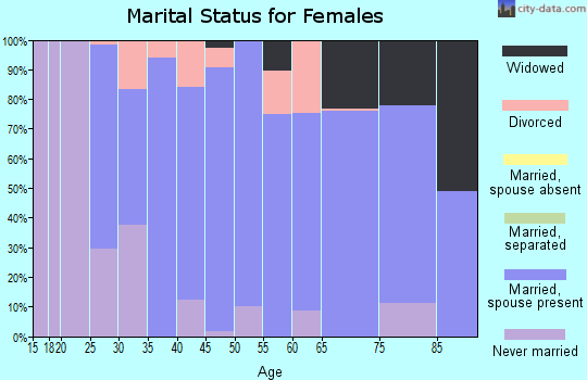 Zip code 24065 marital status for females