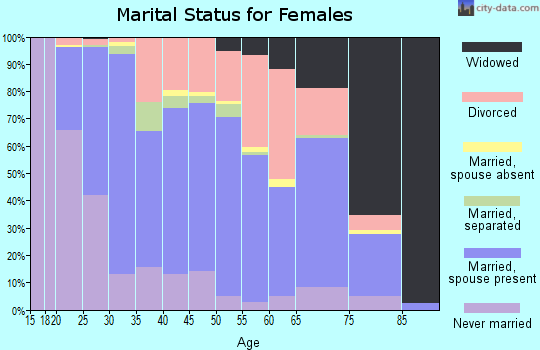 Zip code 24073 marital status for females