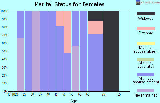 Zip code 24077 marital status for females
