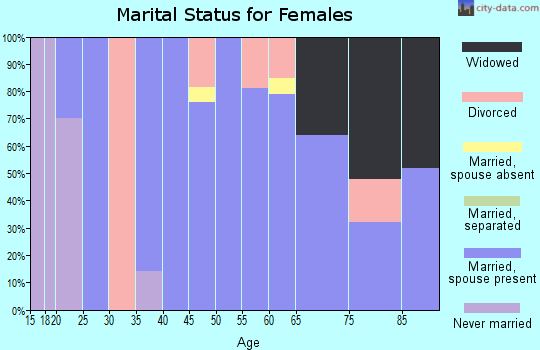 Zip code 24083 marital status for females