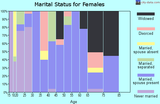 Zip code 24087 marital status for females