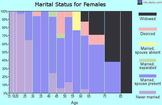 Zip code 24088 marital status for females