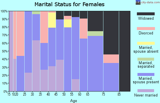 Zip code 24089 marital status for females
