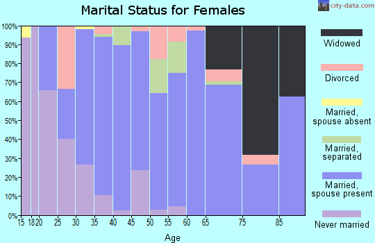 Zip code 24090 marital status for females