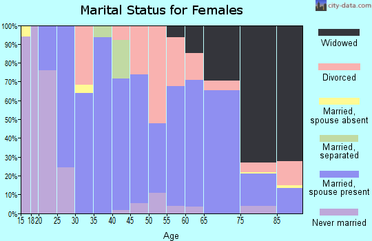 Zip code 24091 marital status for females