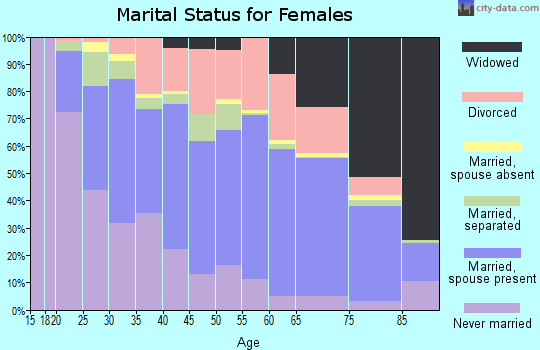 Zip code 24112 marital status for females