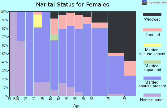 Zip code 24121 marital status for females