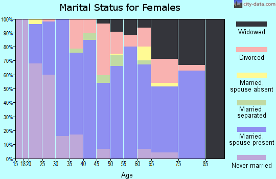 Zip code 24124 marital status for females