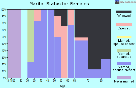 Zip code 24133 marital status for females