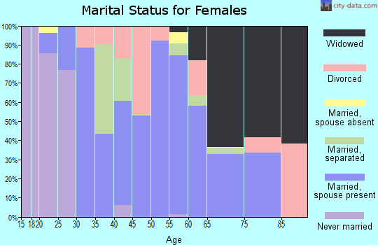 Zip code 24134 marital status for females