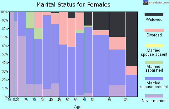 Zip code 24136 marital status for females