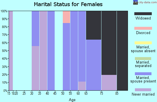 Zip code 24139 marital status for females