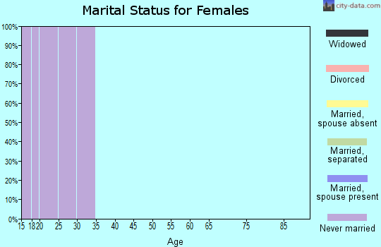 Zip code 24142 marital status for females