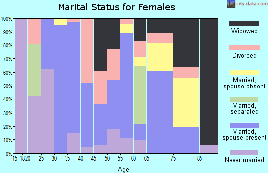 Zip code 24147 marital status for females