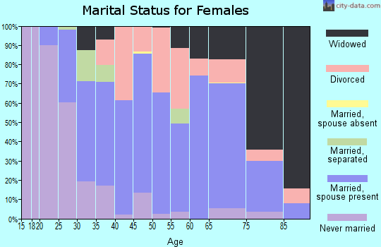 Zip code 24148 marital status for females