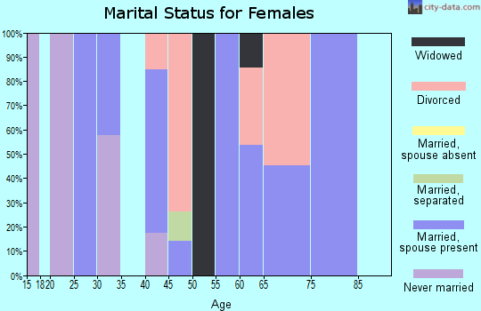 Zip code 24150 marital status for females