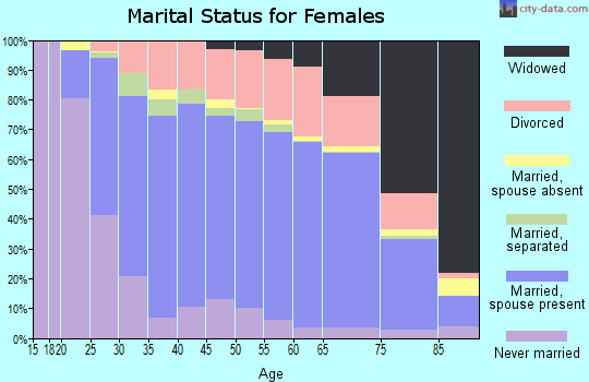 Zip code 24153 marital status for females