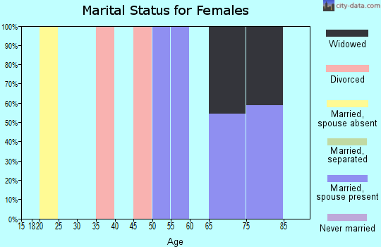 Zip code 24161 marital status for females
