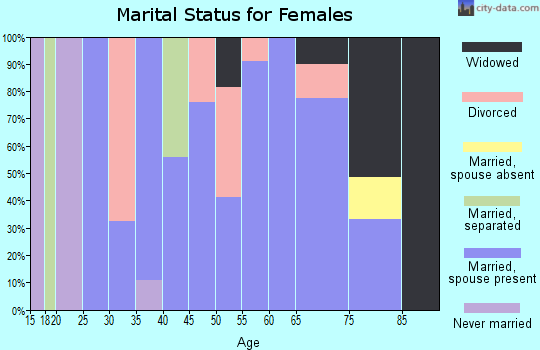 Zip code 24162 marital status for females