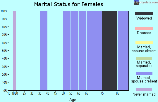 Zip code 24168 marital status for females