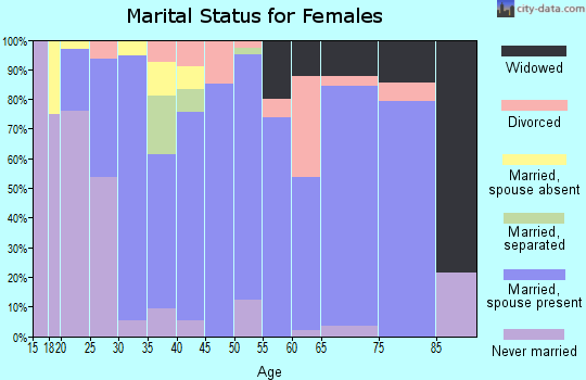 Zip code 24175 marital status for females