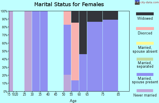 Zip code 24176 marital status for females