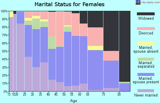 Zip code 24201 marital status for females