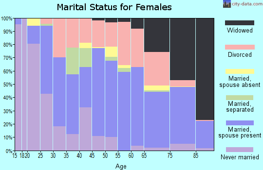 Zip code 24210 marital status for females