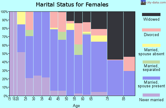 Zip code 24211 marital status for females