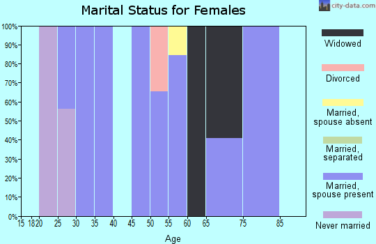 Zip code 24220 marital status for females