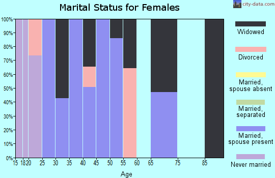 Zip code 24221 marital status for females