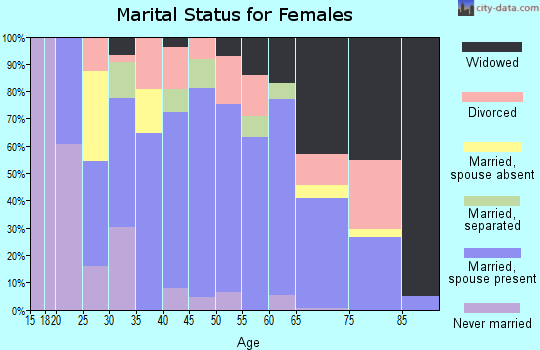 Zip code 24224 marital status for females