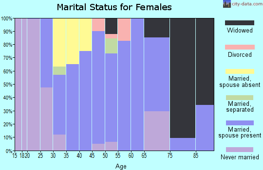 Zip code 24225 marital status for females